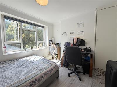Picture 11